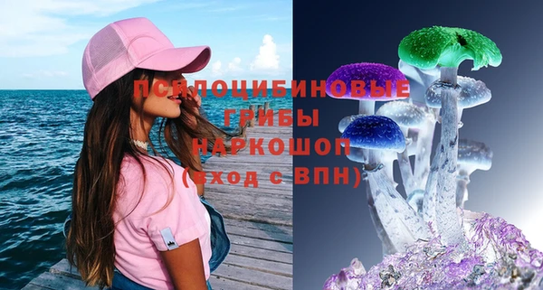 соль ск Абдулино
