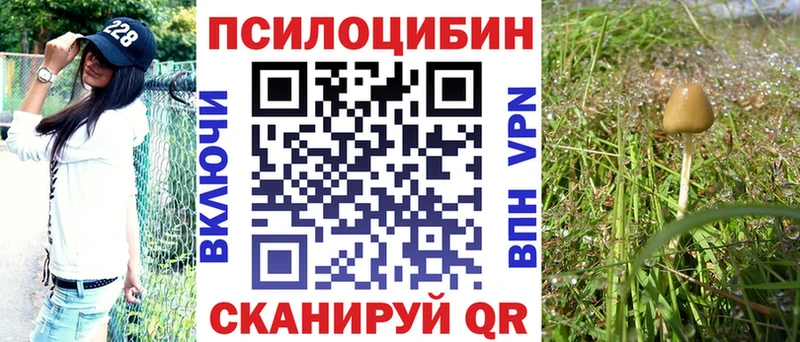 Галлюциногенные грибы GOLDEN TEACHER  mega как войти  Венёв  где найти наркотики 